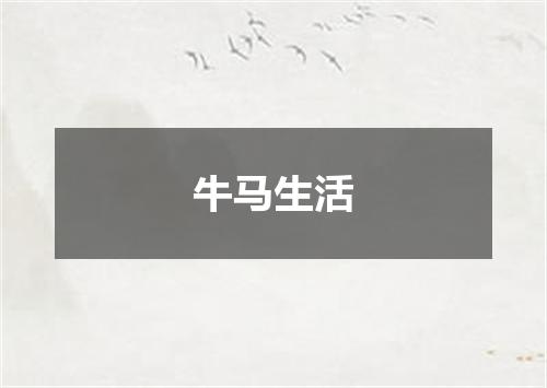 牛马生活