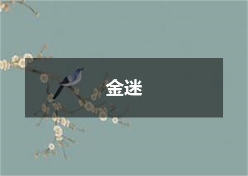 金迷