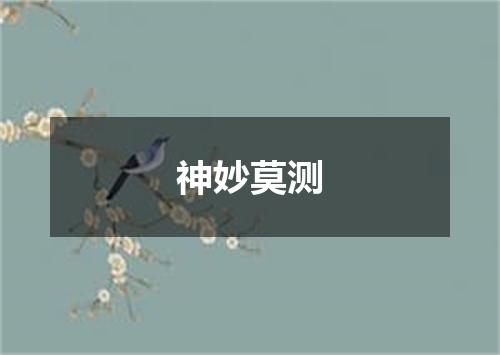 神妙莫测