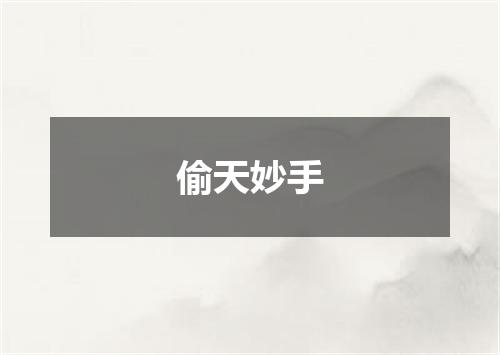 偷天妙手