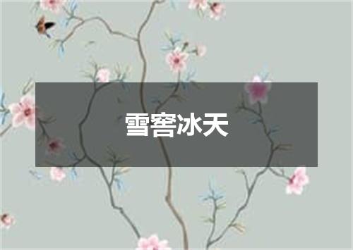 雪窖冰天