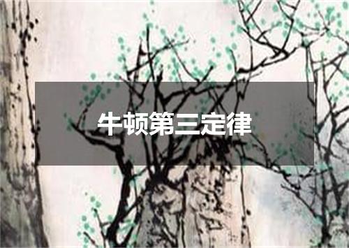 牛顿第三定律