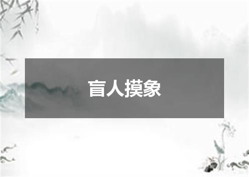 盲人摸象
