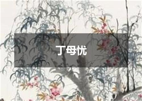 丁母忧