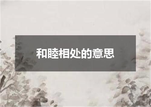和睦相处的意思