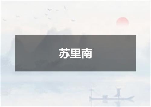 苏里南