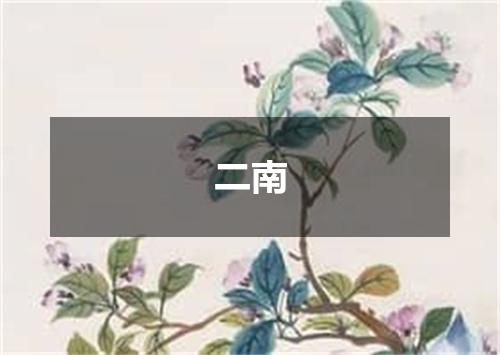 二南