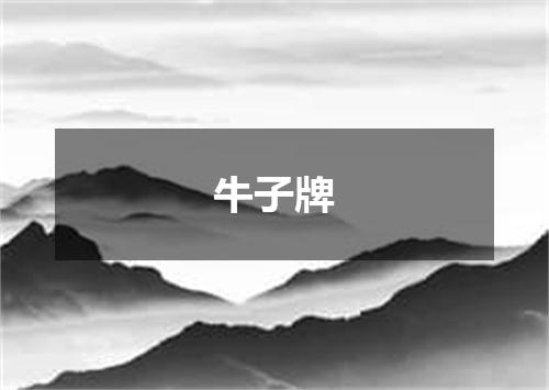 牛子牌