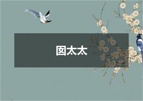 囡太太