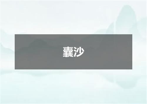囊沙