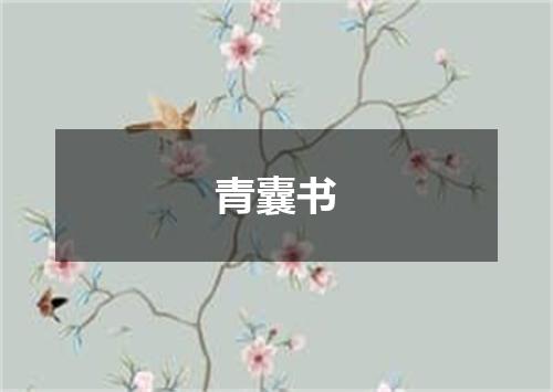 青囊书