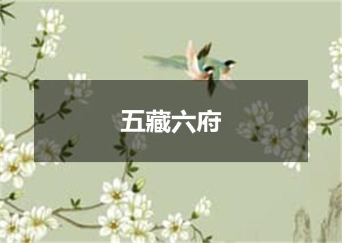 五藏六府
