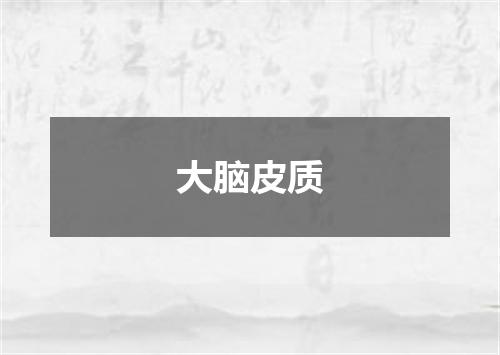 大脑皮质