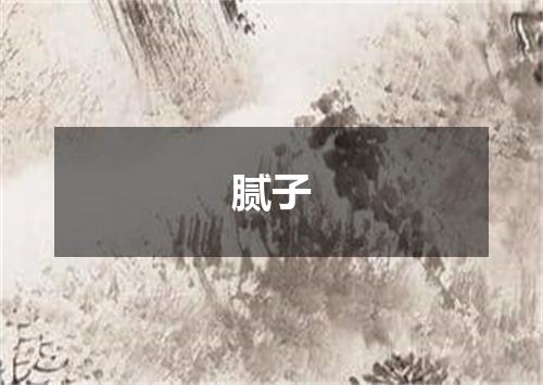 腻子
