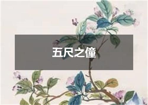 五尺之僮