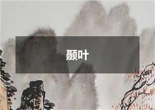 颞叶
