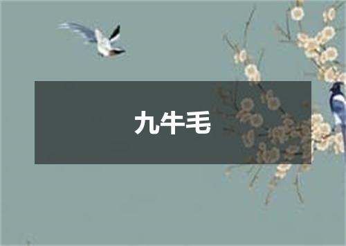 九牛毛