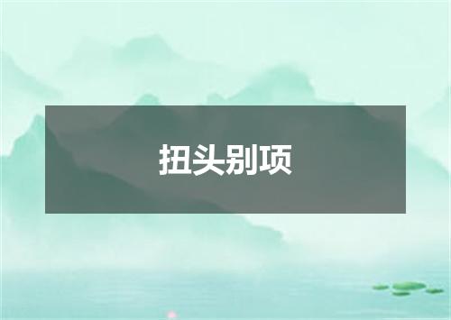 扭头别项