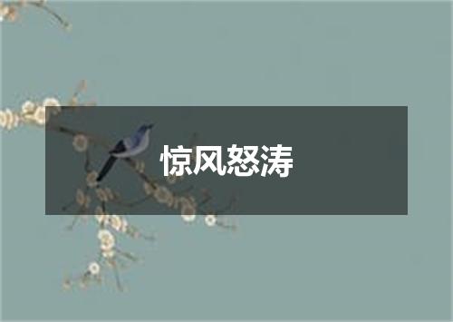 惊风怒涛