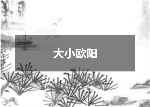 大小欧阳