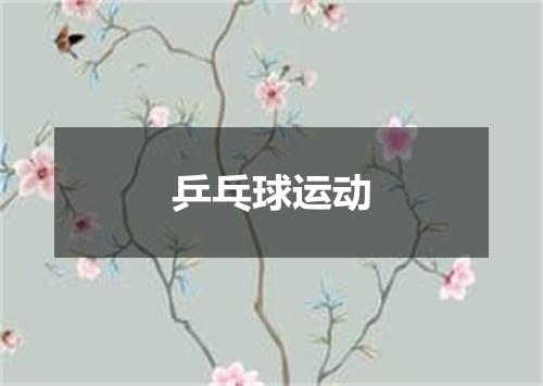 乒乓球运动