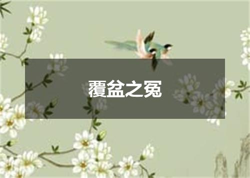 覆盆之冤