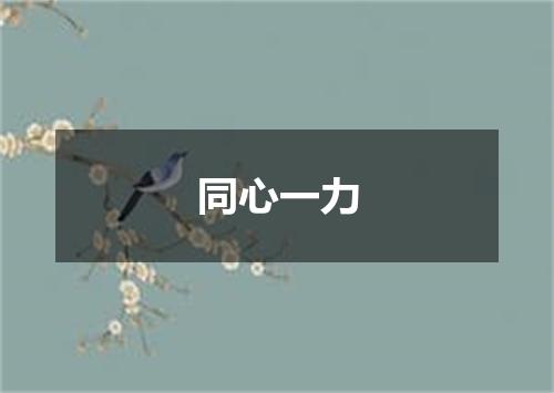 同心一力