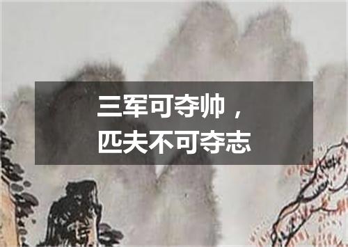 三军可夺帅，匹夫不可夺志