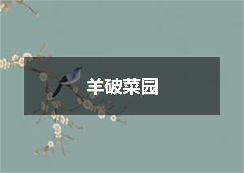 羊破菜园
