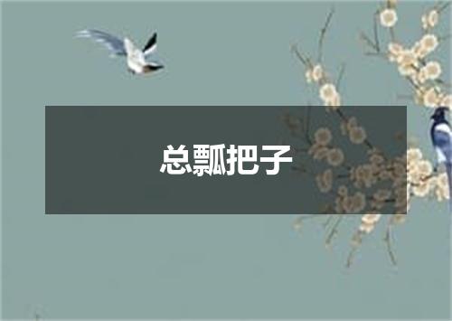 总瓢把子