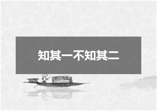 知其一不知其二