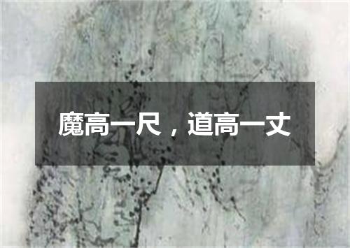 魔高一尺，道高一丈