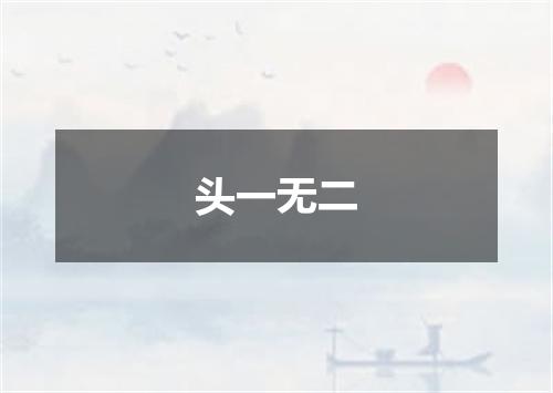头一无二