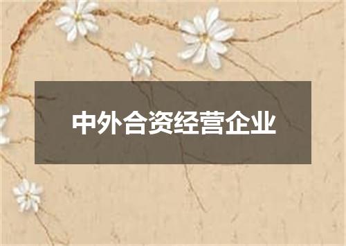 中外合资经营企业