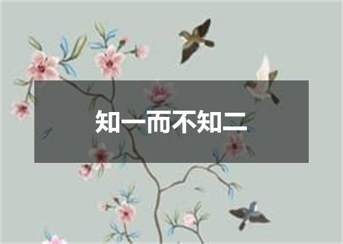 知一而不知二