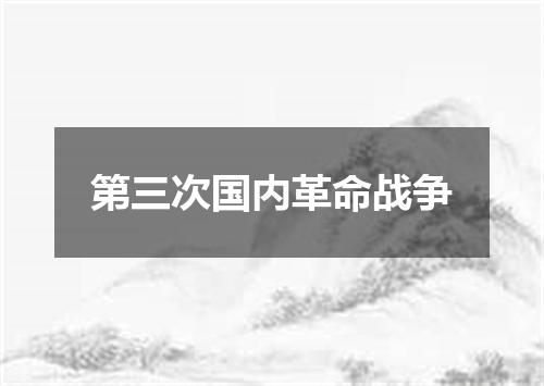 第三次国内革命战争
