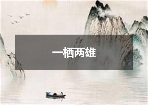 一栖两雄