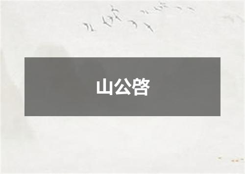 山公啓