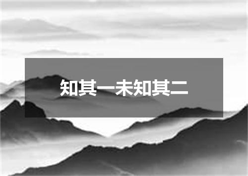 知其一未知其二