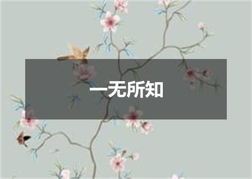 一无所知