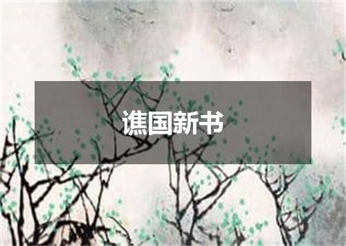 谯国新书