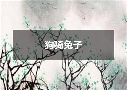 狗骑兔子