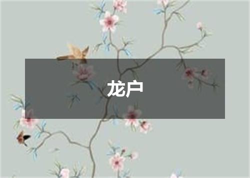 龙户