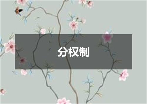 分权制