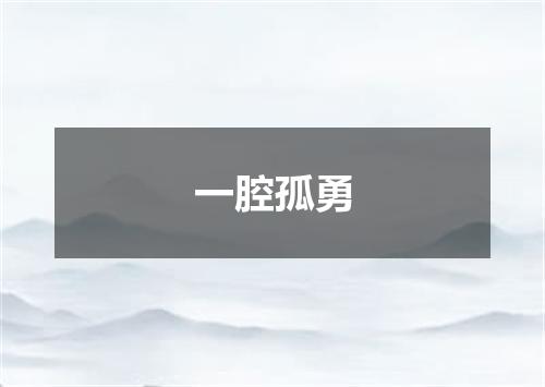 一腔孤勇