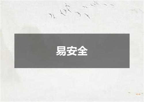 易安全