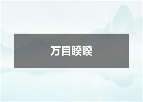 万目睽睽