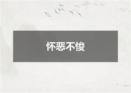 怀恶不悛