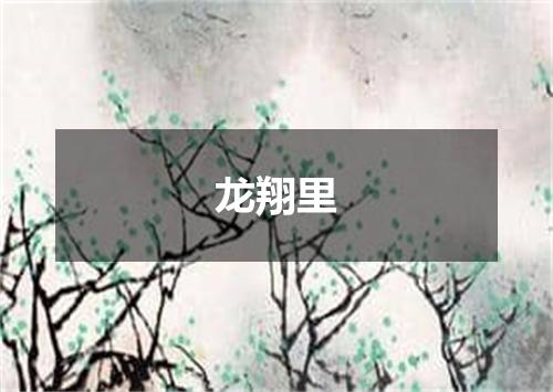 龙翔里