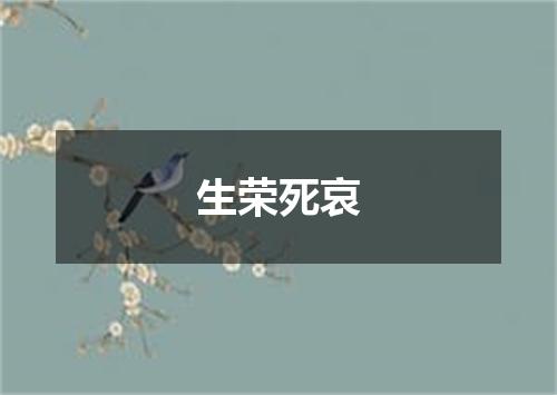 生荣死哀